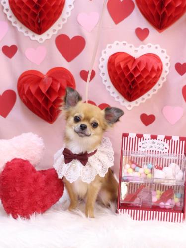 20240218れおくん